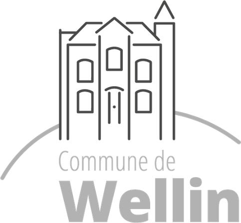 2022_06_Logo Wellin_GRIS_DEF.png