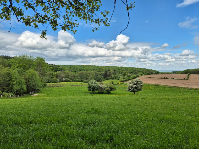 Sul Toré ©OT_Wellin
